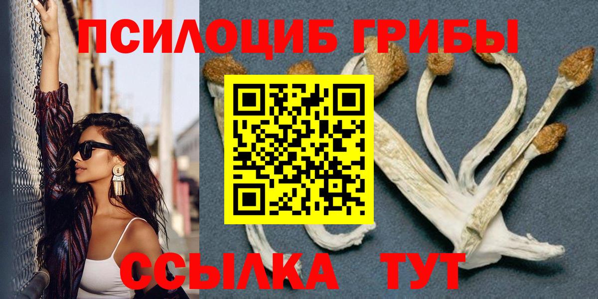 Псилоцибиновые грибы Белгород