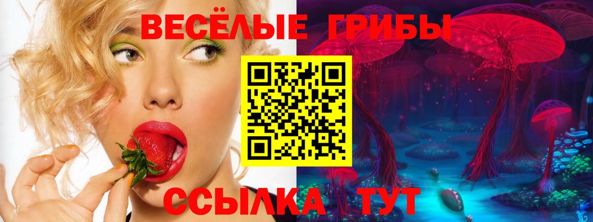 Белгород  Псилоцибиновые грибы MAGIC MUSHROOMS  Вход с VPN  Галлюциногенные грибы Cubensis 